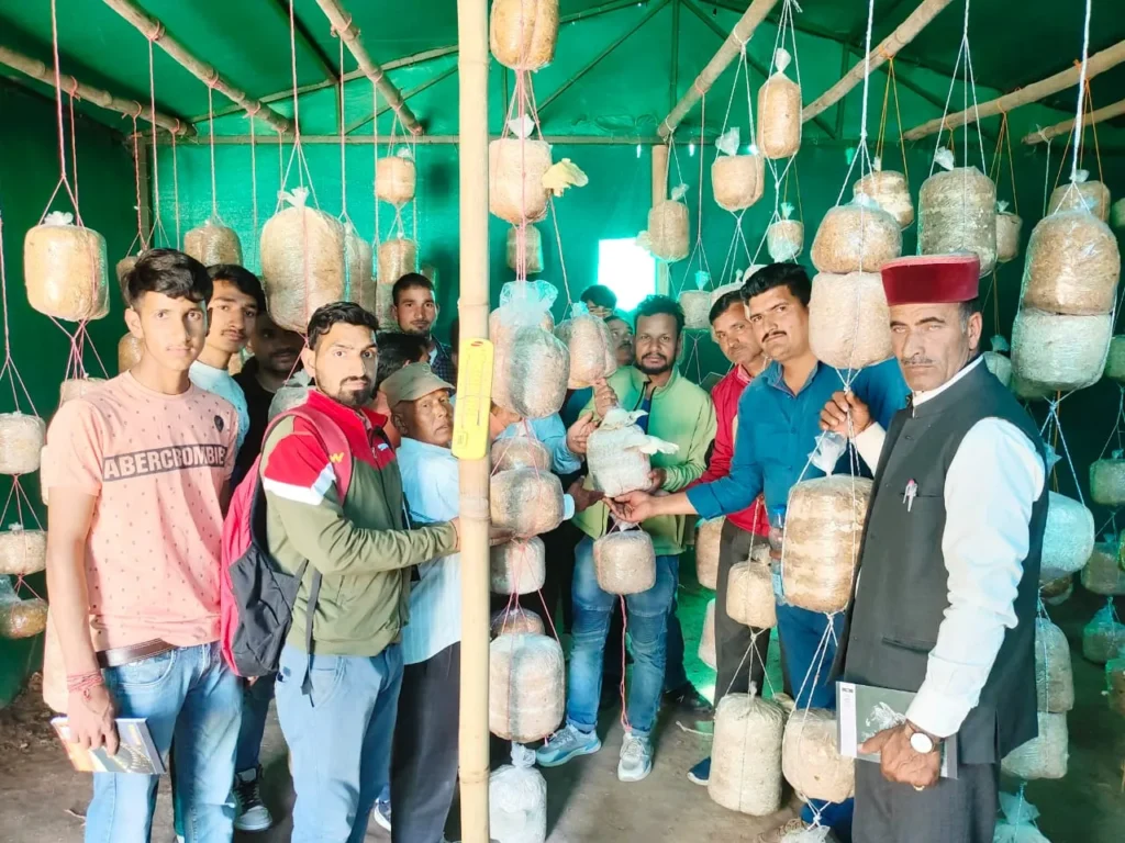 WhatsApp Image 2025-06-17 at 4.09.34 PM